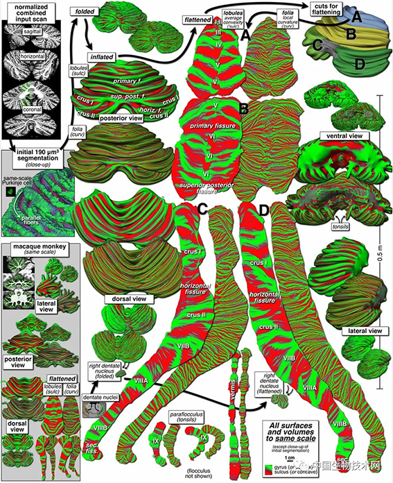 微信图片_20200805102253.png