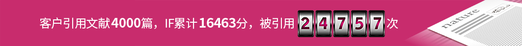 文献引用