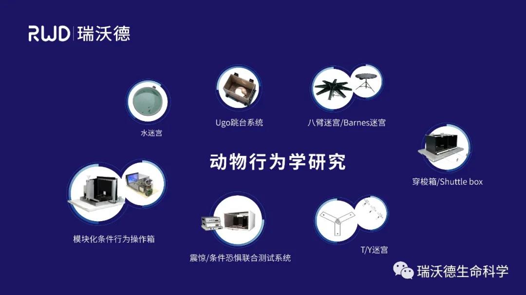 瑞沃德动物行为学研究