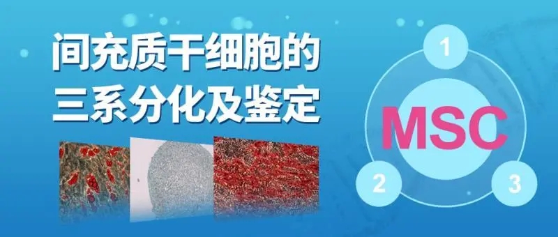 封面2.jpg