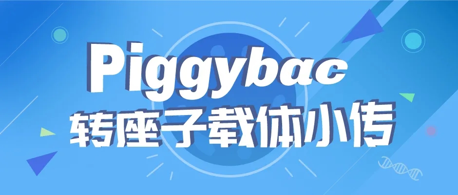 封面webp2.jpg
