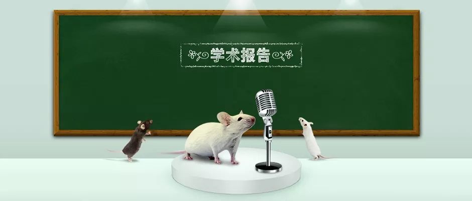 封面webp4.jpg