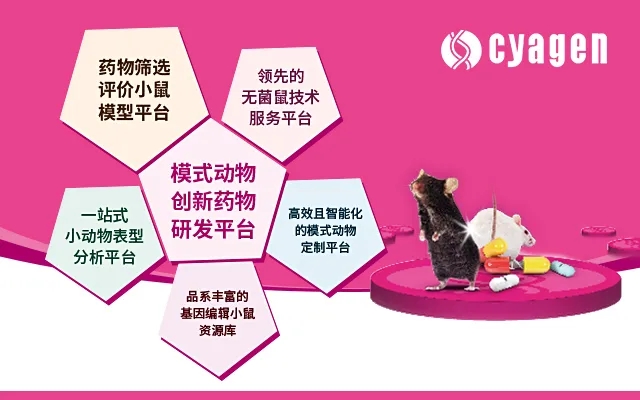 模式动物研发平台webp.jpg