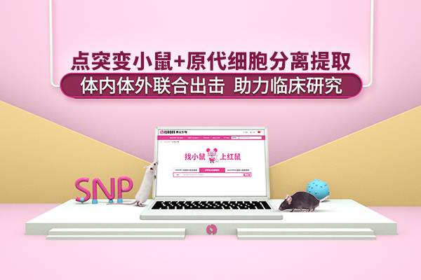 活动图1.png