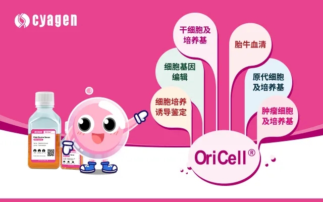 细胞解决方案webp.jpg