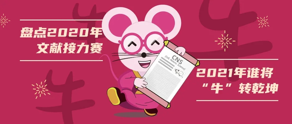 0-封面webp.jpg