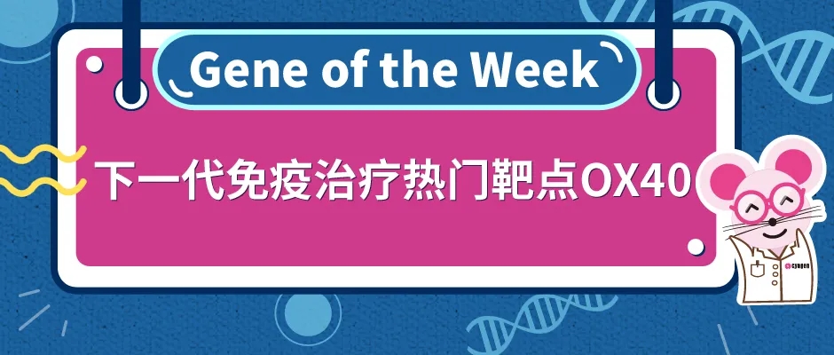 0封面webp3.jpg