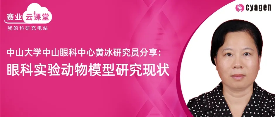 0封面webp4.jpg