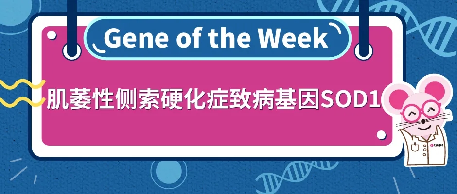 封面webp.jpg