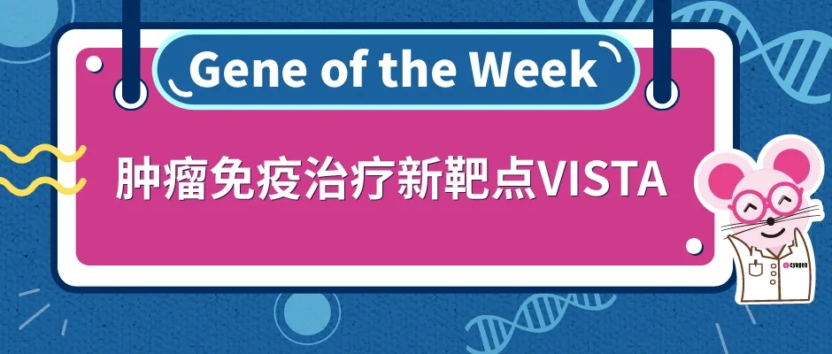 封面webp2.jpg