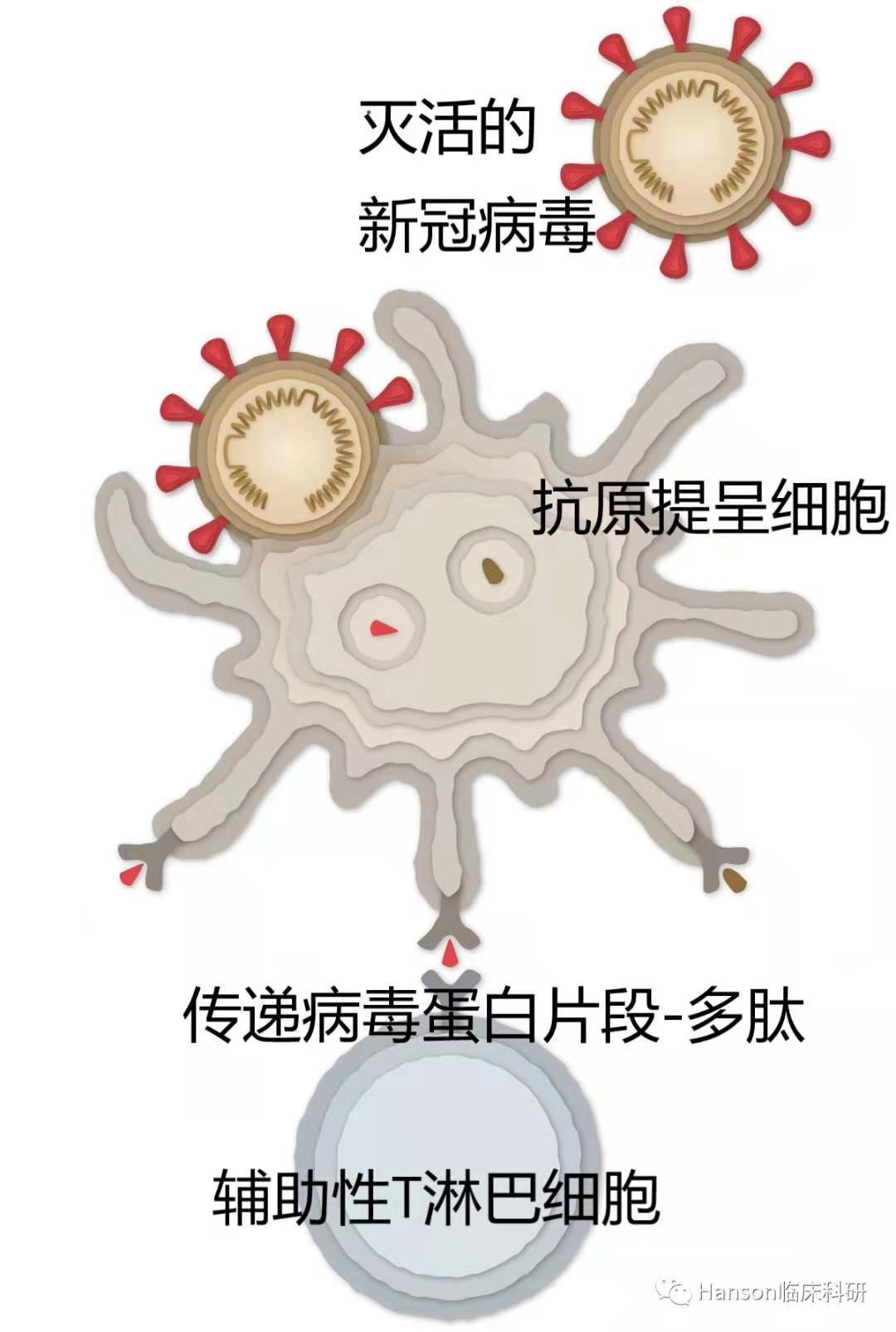 微信图片_20210111134357.jpg