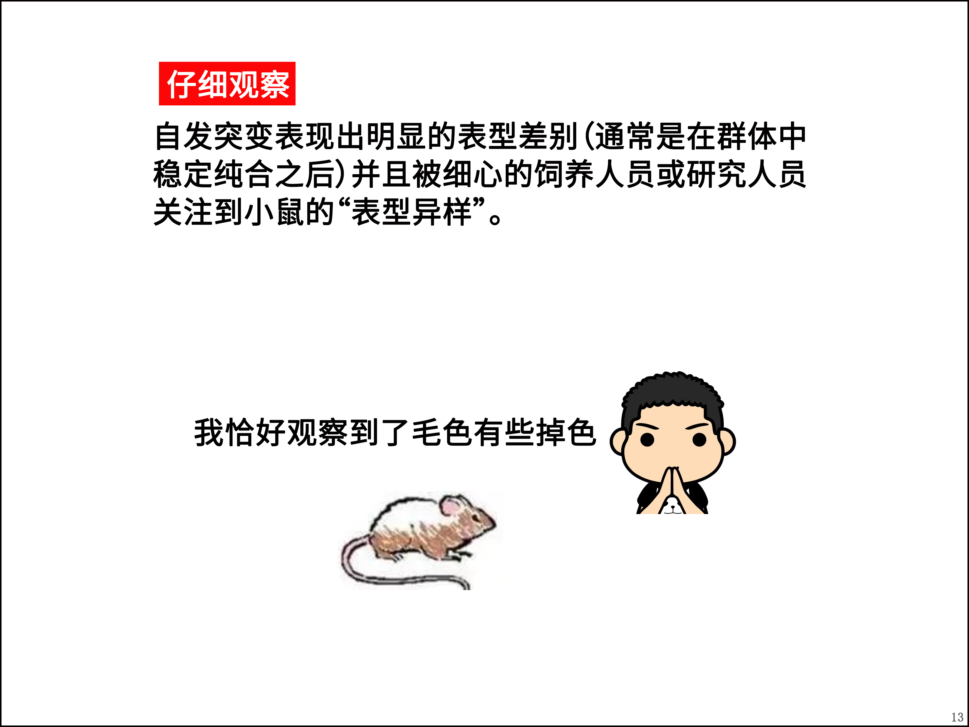132.jpg