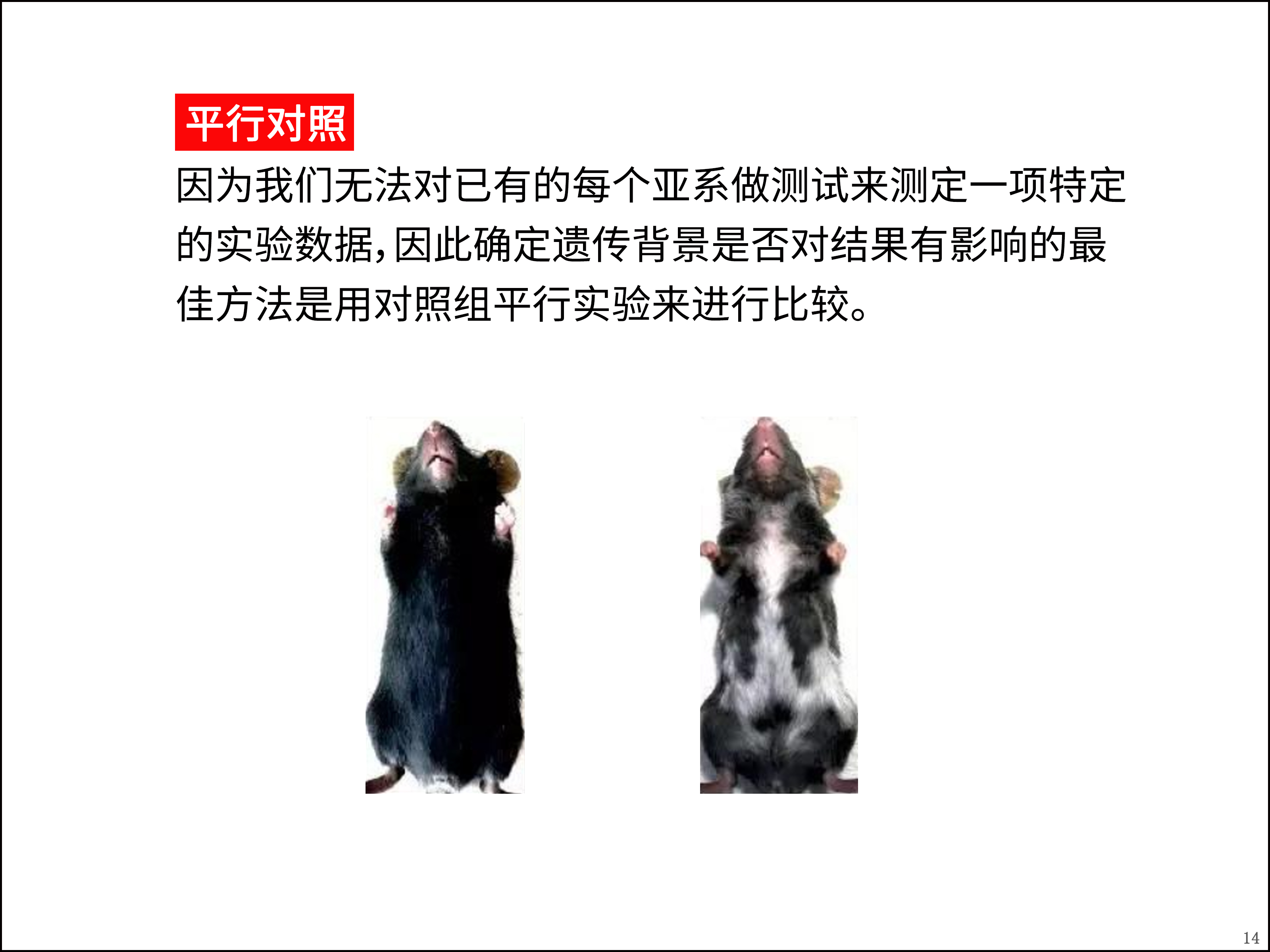 143.jpg