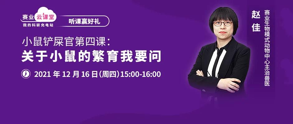 关于小鼠的繁育 关于小鼠的繁育