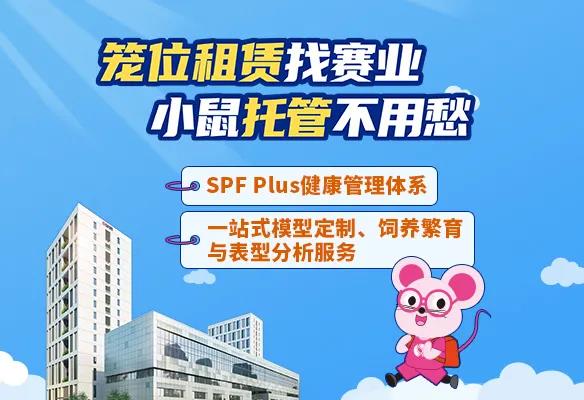 小鼠产后出现异常症状