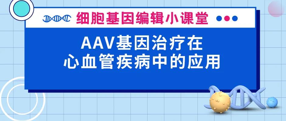 AAV基因治疗