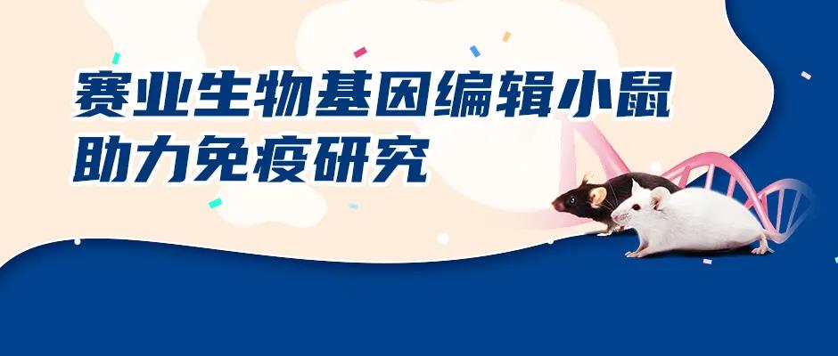 基因编辑小鼠
