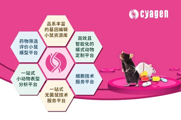5创新性CRO平台webp.jpg