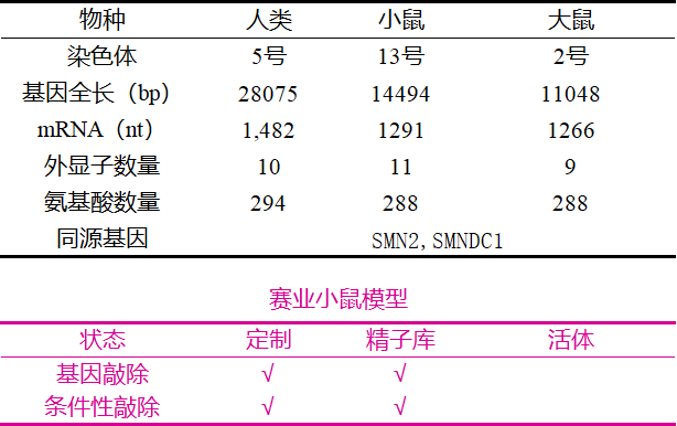 图01.png