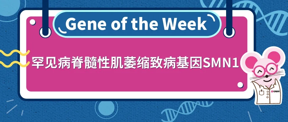 封面webp2.jpg