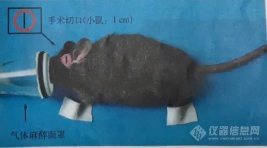 微信图片_20210315135557.jpg
