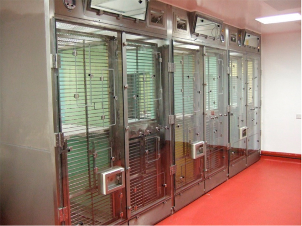 p1.jpg