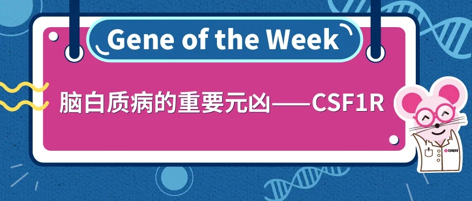 封面webp.jpg