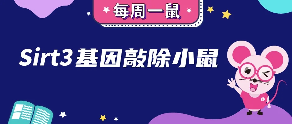 封面webp_507mRTY.jpg