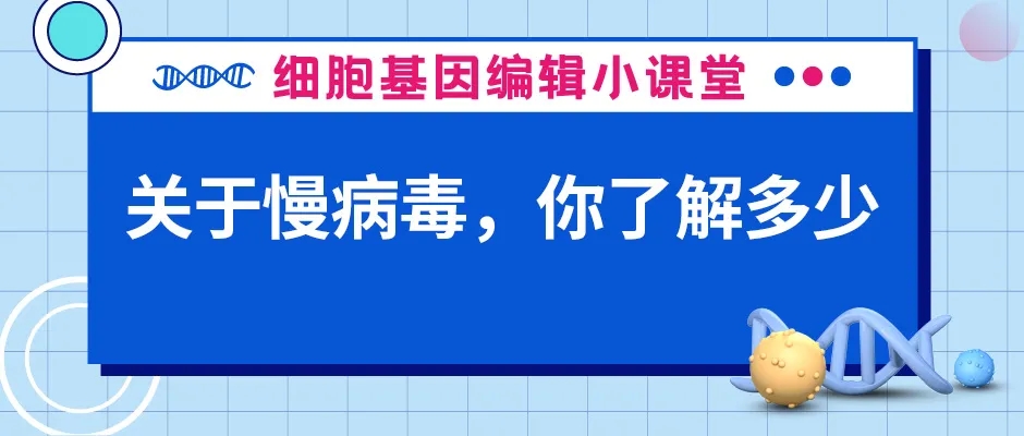 封面webp_s60egDg.jpg