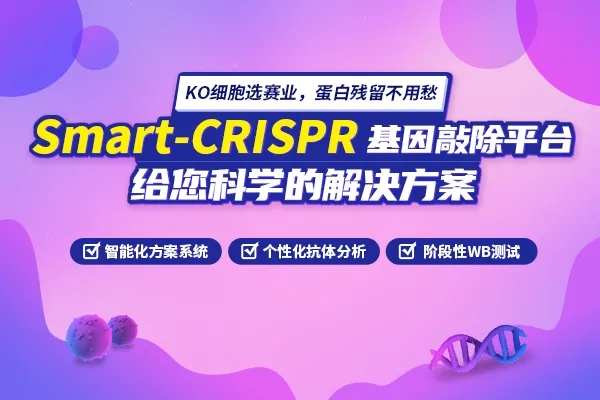 活动图webp1.jpg