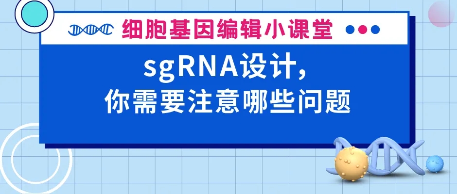 0-封面webp.jpg