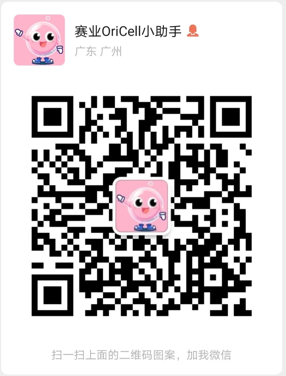 3-小助手webp.jpg