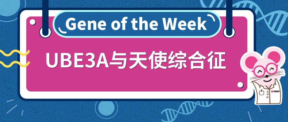 封面webp.jpg