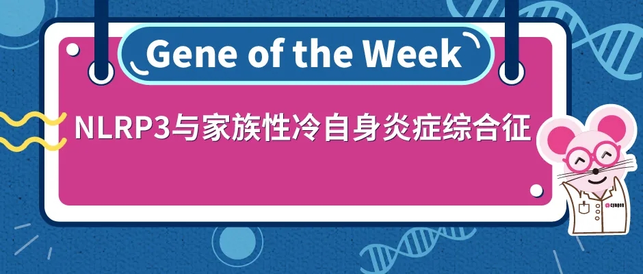 封面webp12.jpg