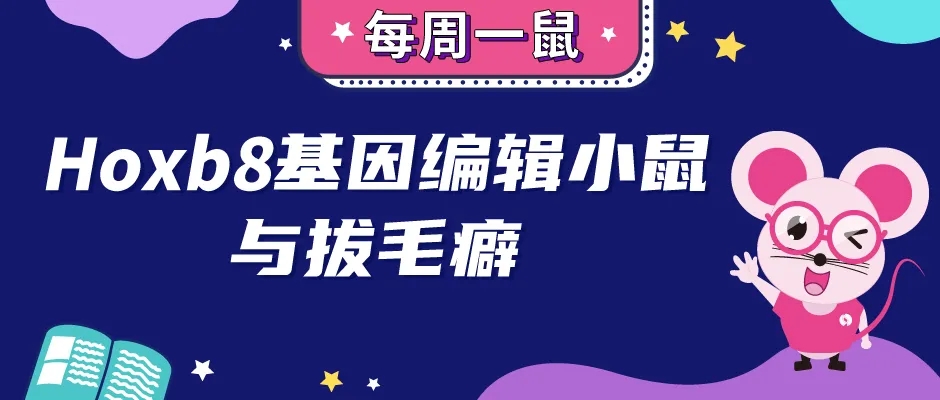 封面webp2.jpg