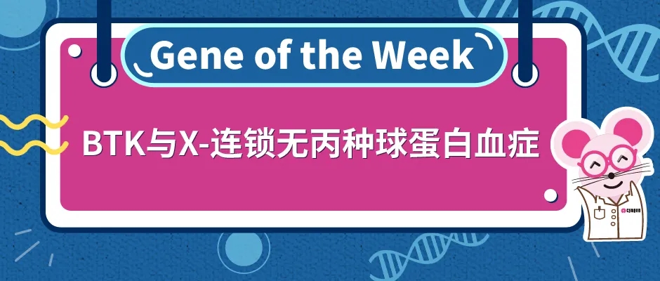 封面webp4.jpg