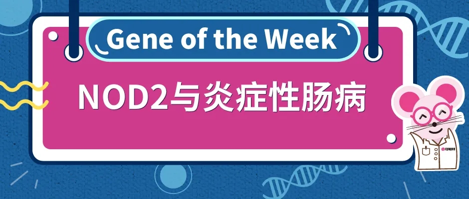 封面webp7.jpg