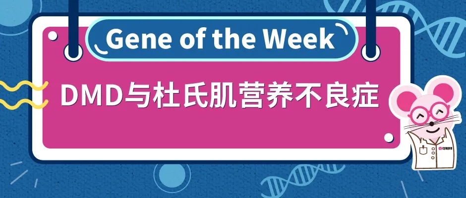 封面webp_K85PFuD.jpg