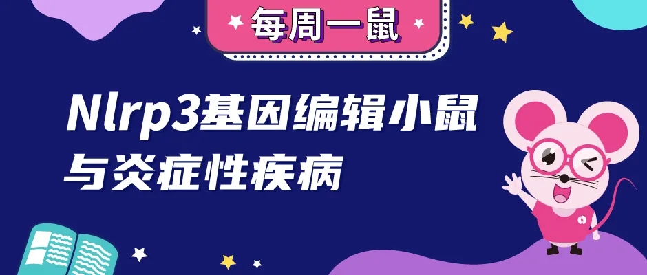 封面webp_QPQGywQ.jpg