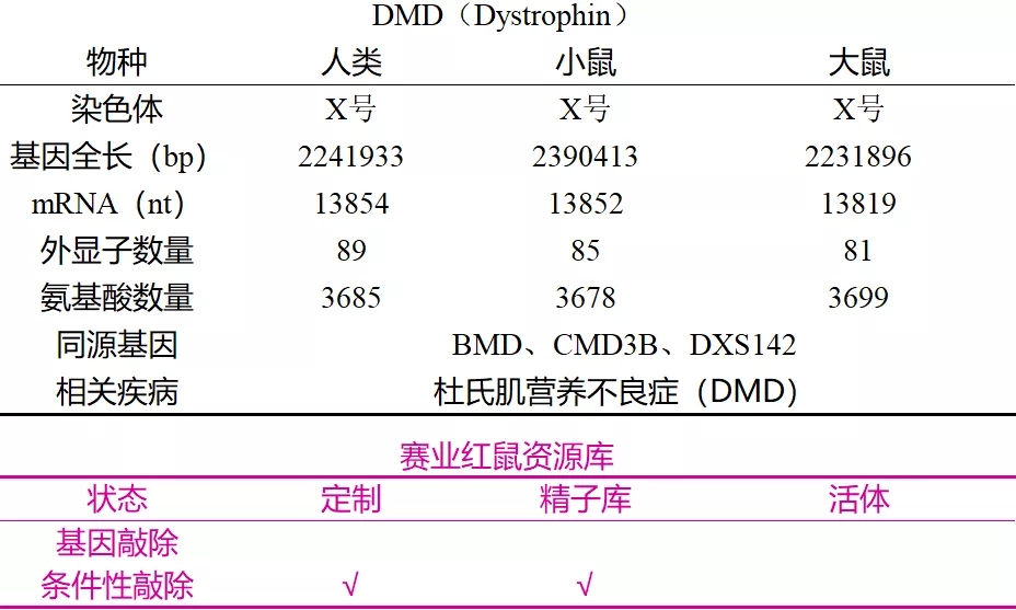 小鼠库webp.jpg
