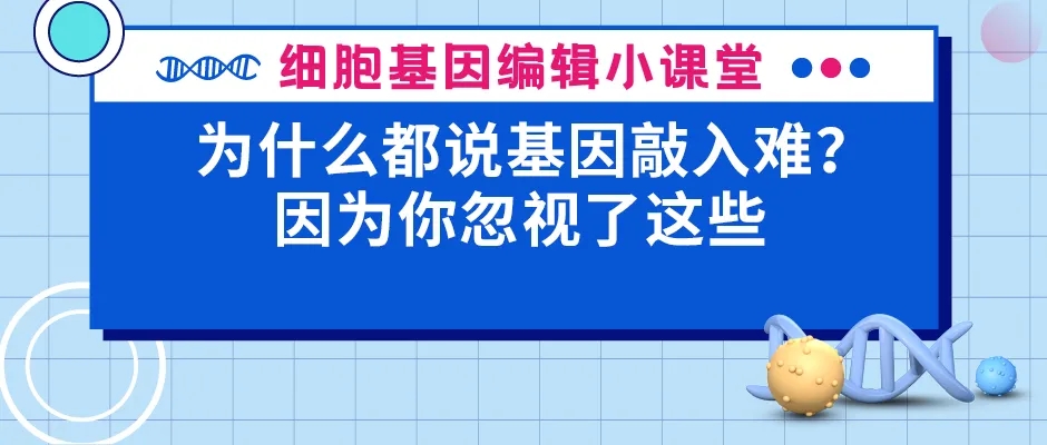 0-为什么都说基因敲入难？因为你忽视了这些webp.jpg