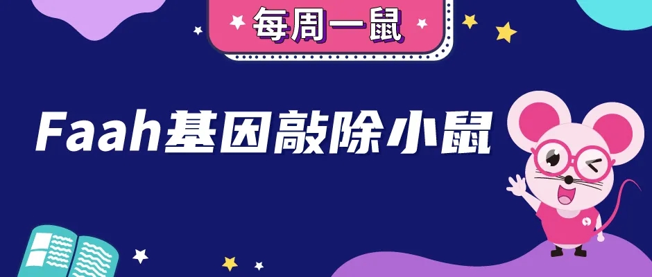 0-封面webp1.jpg