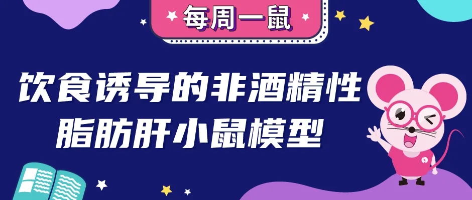 封面webp.jpg