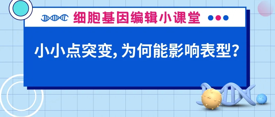 封面webp2.jpg