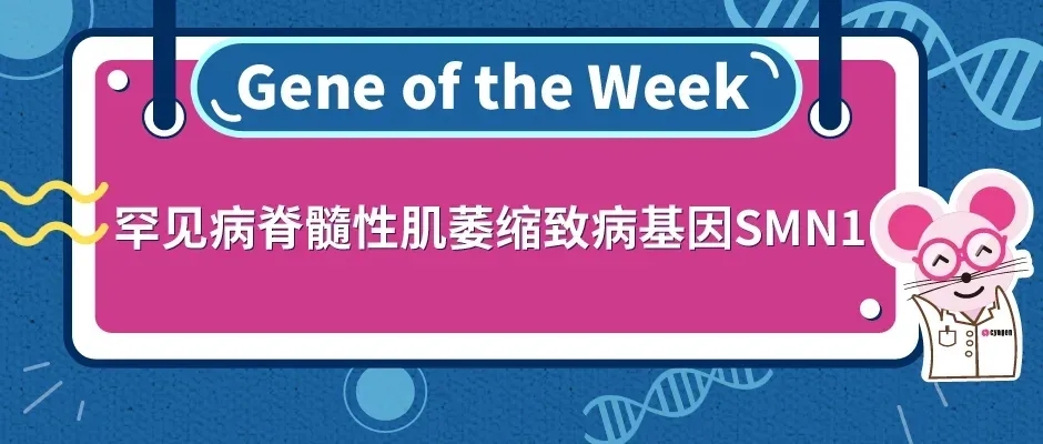 封面webp5.jpg