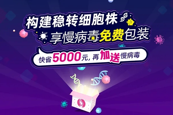 福利2：构建稳转细胞株，享慢病毒免费包装，快省5000元，再加送慢病毒！webp.jpg