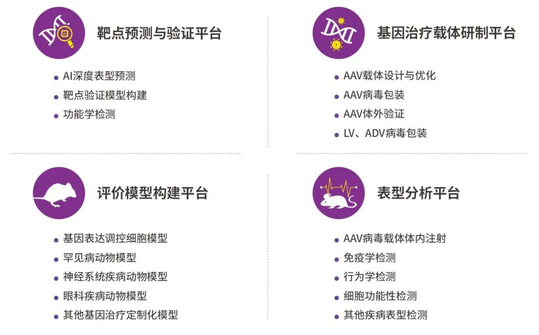 IVA型粘多糖病