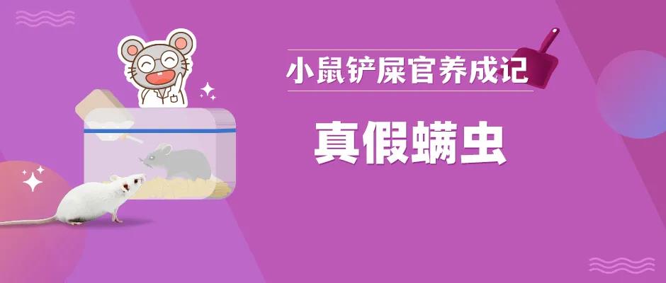 真假螨虫