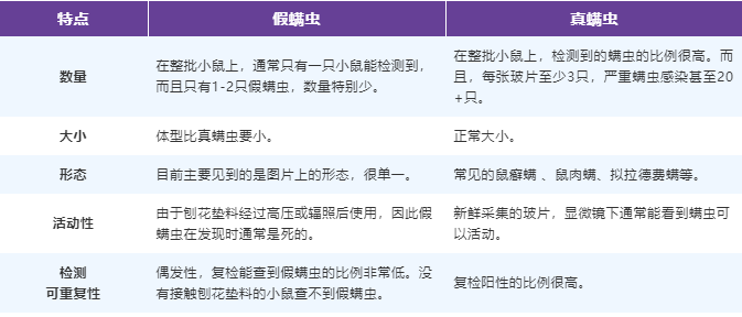 真假螨虫