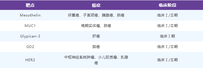 CAR-T细胞疗法